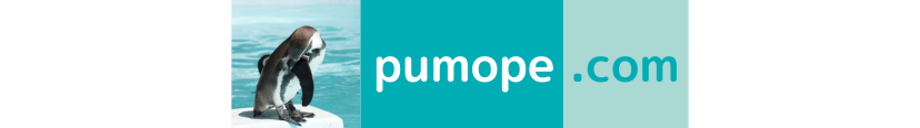 pumope.com